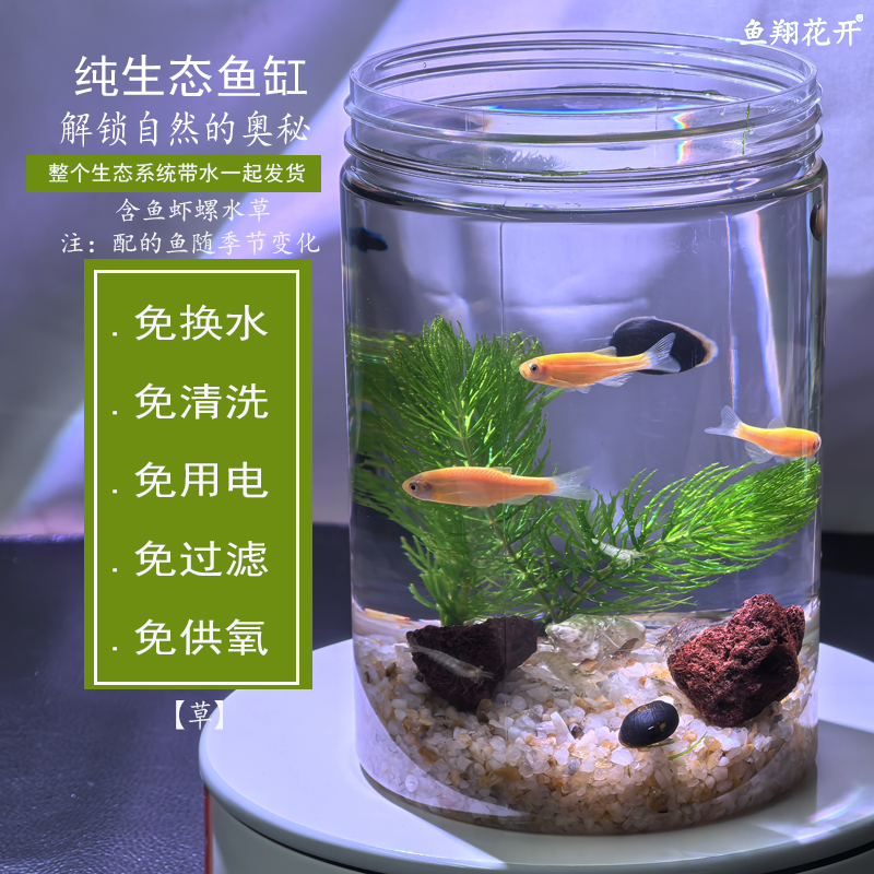 迷你 生态鱼缸 不用换水清洗缸壁 生态瓶 创意 生态课 教学办公桌