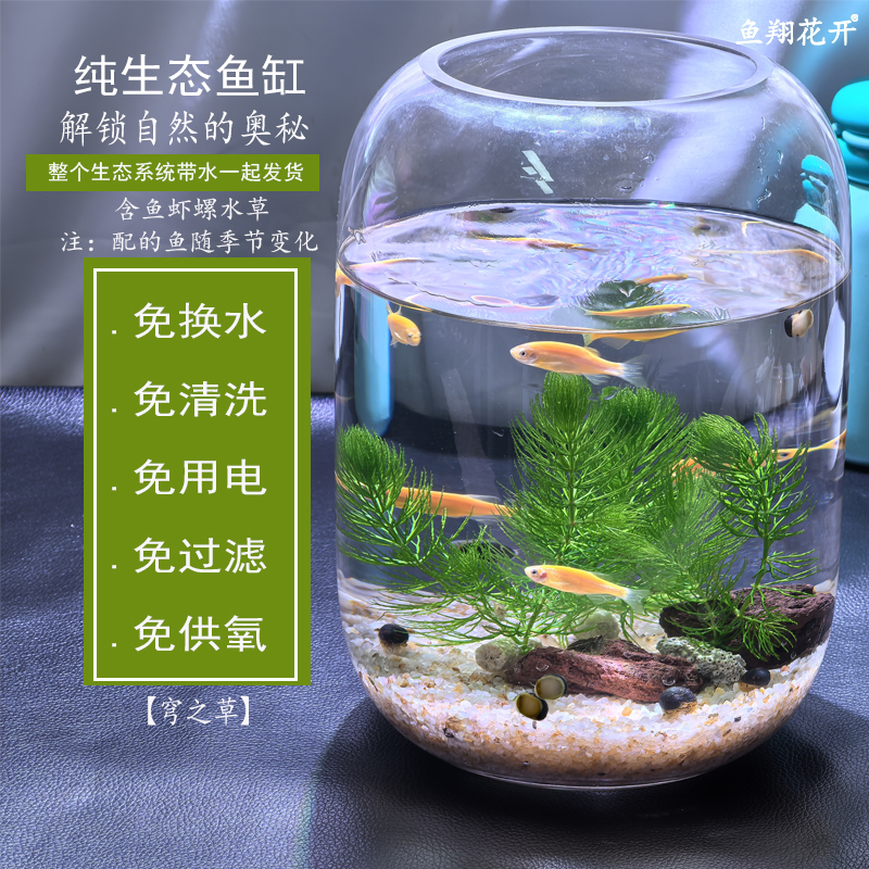 免换水 懒人 桌面小型自循环 生态玻璃小鱼缸 观赏鱼餐桌 办公室
