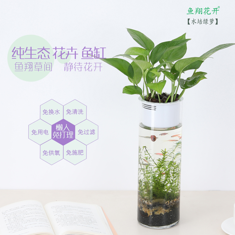生态花卉鱼缸 不用换水 清洗缸壁  生态瓶 创意 自循环  水培绿萝