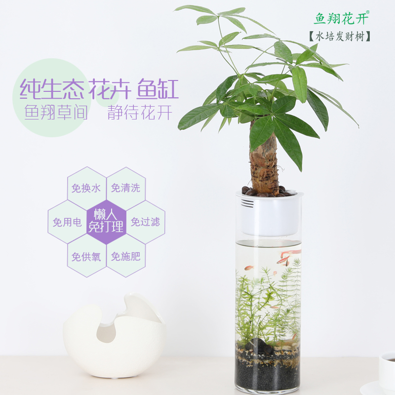 免换水懒人桌面小型自循环生态玻璃小鱼缸餐桌办公室水培发财树