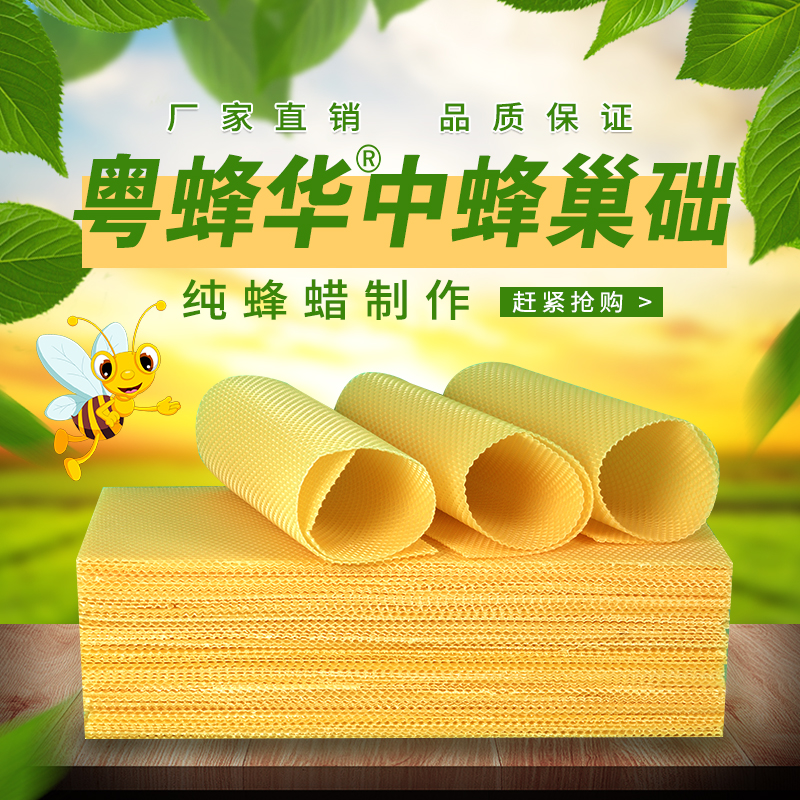 36*21中蜂专用纯蜂蜡深房巢础巢脾中蜂蜡巢基深房眼养蜂用品工具