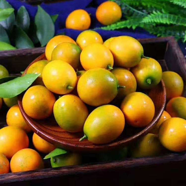 全爸农产品广西融安滑皮金桔纯甜多汁产地直发新鲜水果现摘现发
