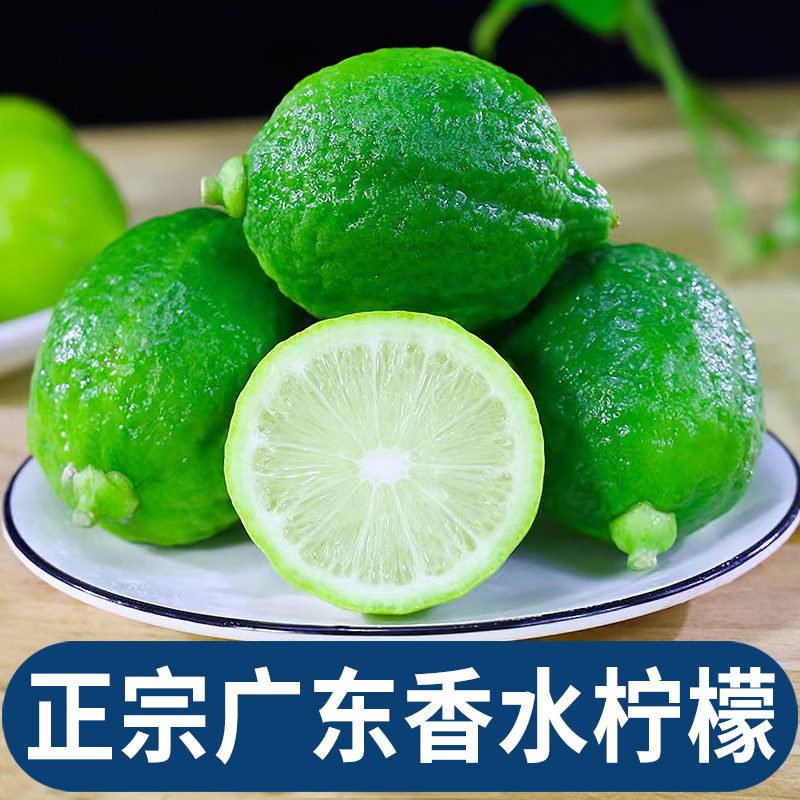 全爸农产品广东香水柠檬精选新鲜奶茶柠檬茶专用奶茶店果园现摘