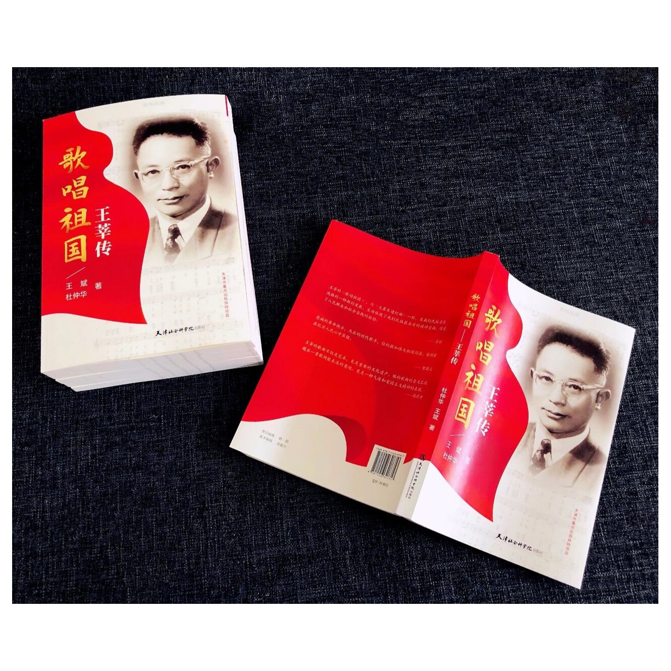 《歌唱祖国：王莘传》