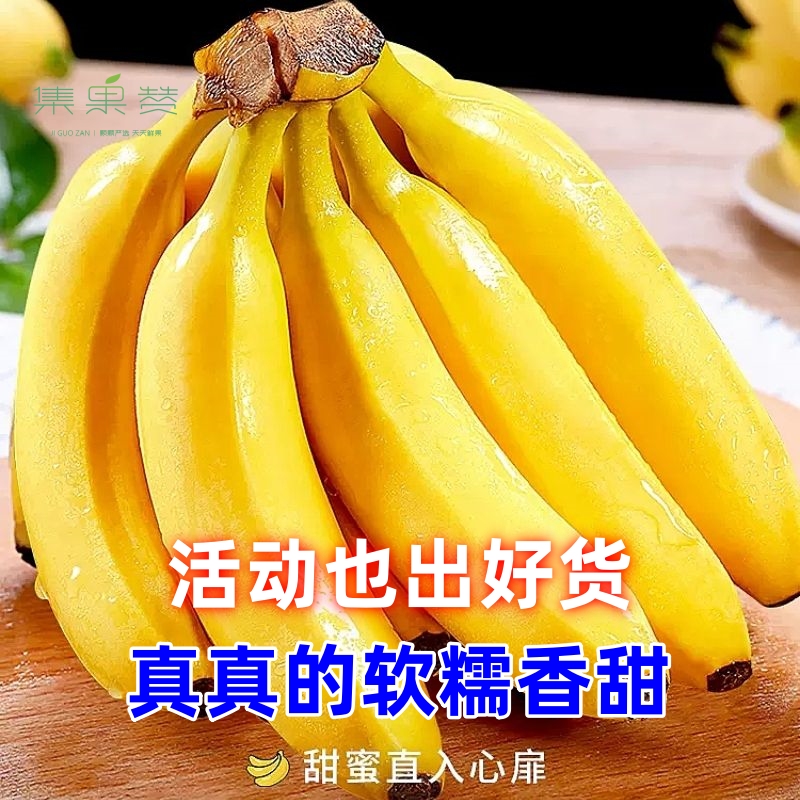 精选【软糯甜】香蕉 1斤 500g/份