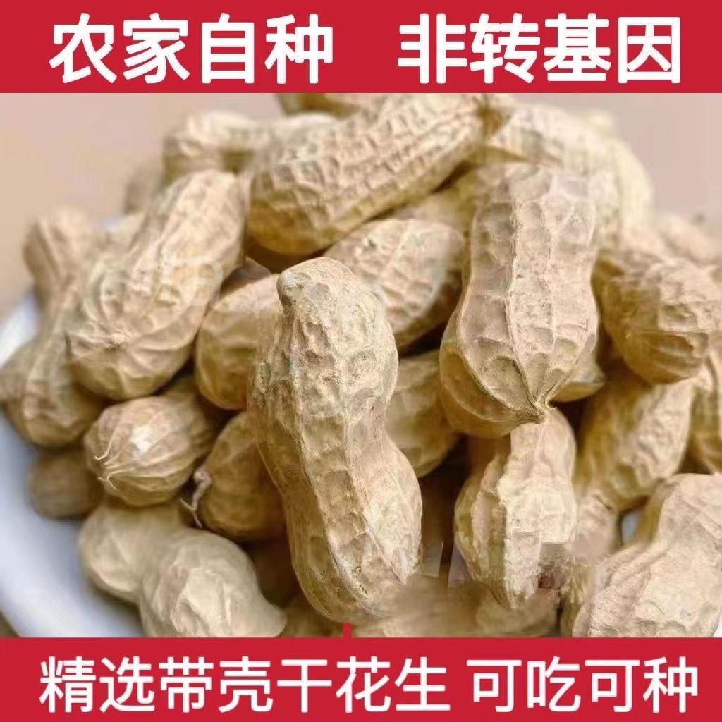 2025新上市老品种花生果【带壳】纯干生花生口感脆甜农家自种花生