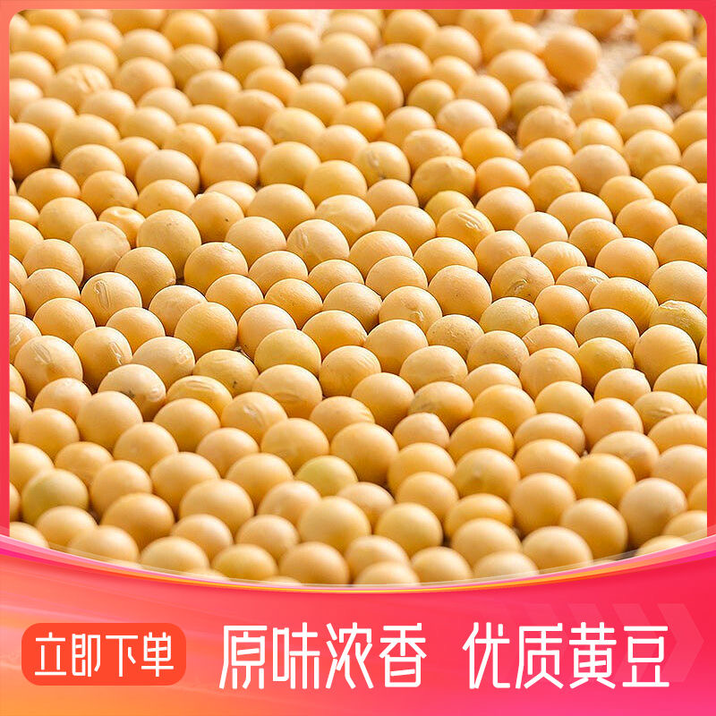 当季安徽老品种农家大黄豆 高出浆 可做菜 