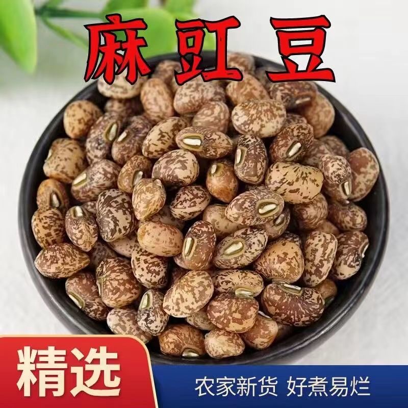 当季新鲜豇豆安徽农家自种豇豆煲汤杂粮