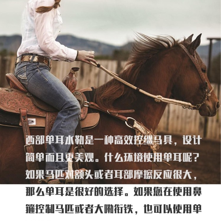 赛驭马具-进口植鞣牛皮西部马术单耳水勒配大嘞衔铁野骑马笼头