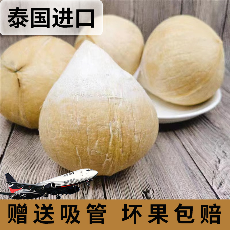 泰国进口椰皇新鲜奶香椰子三亚直发大果当季孕妇水果椰子鸡小椰子