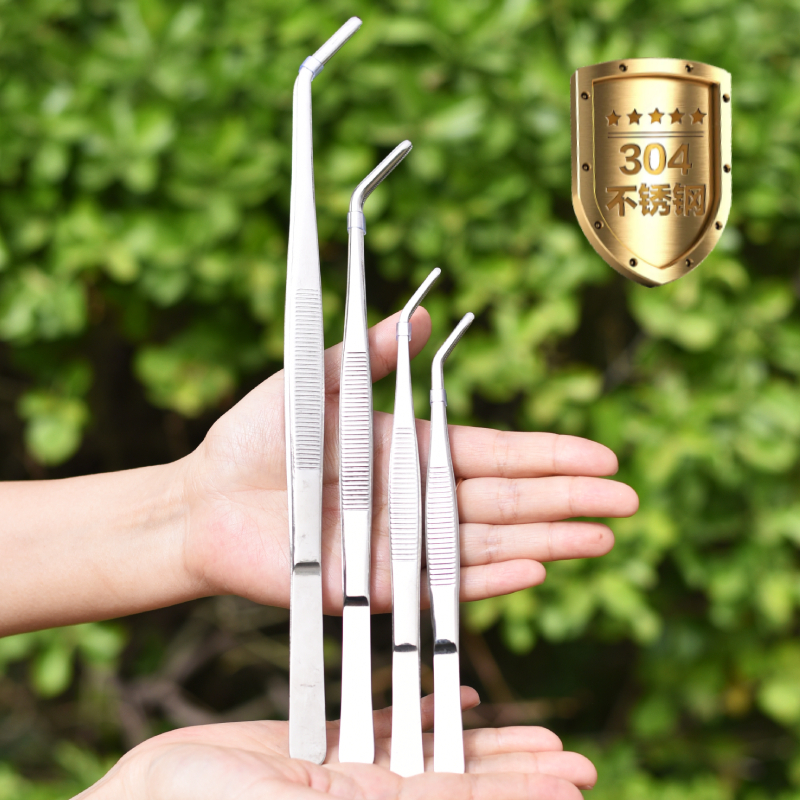 长镊子304不锈钢超长取物园艺多肉专用镊子工具圆头弯头加厚夹子