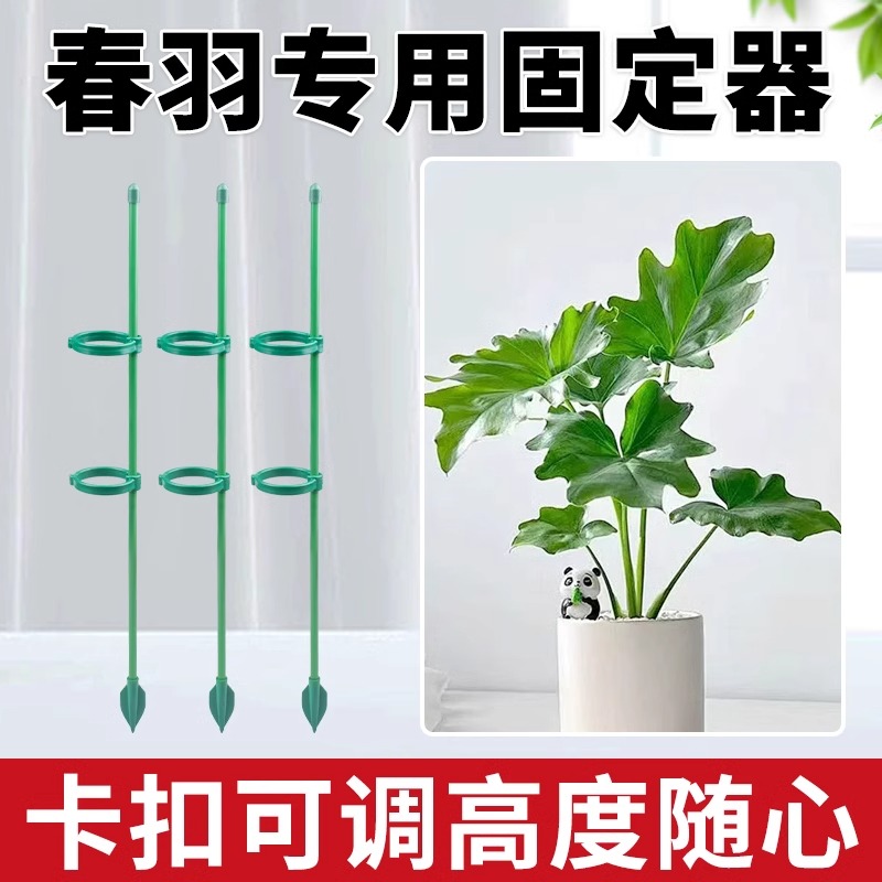 春羽专用型固定器爬藤架花架花卉植物支撑杆花架园艺花架子支撑杆