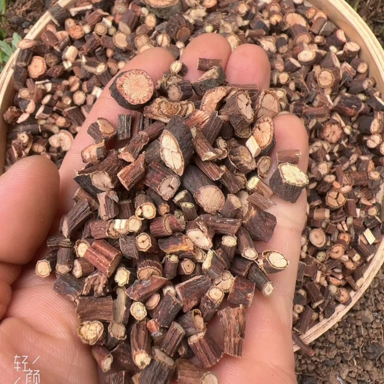 【三哥特产】贵州深山农产品野夜交藤250g/袋包邮