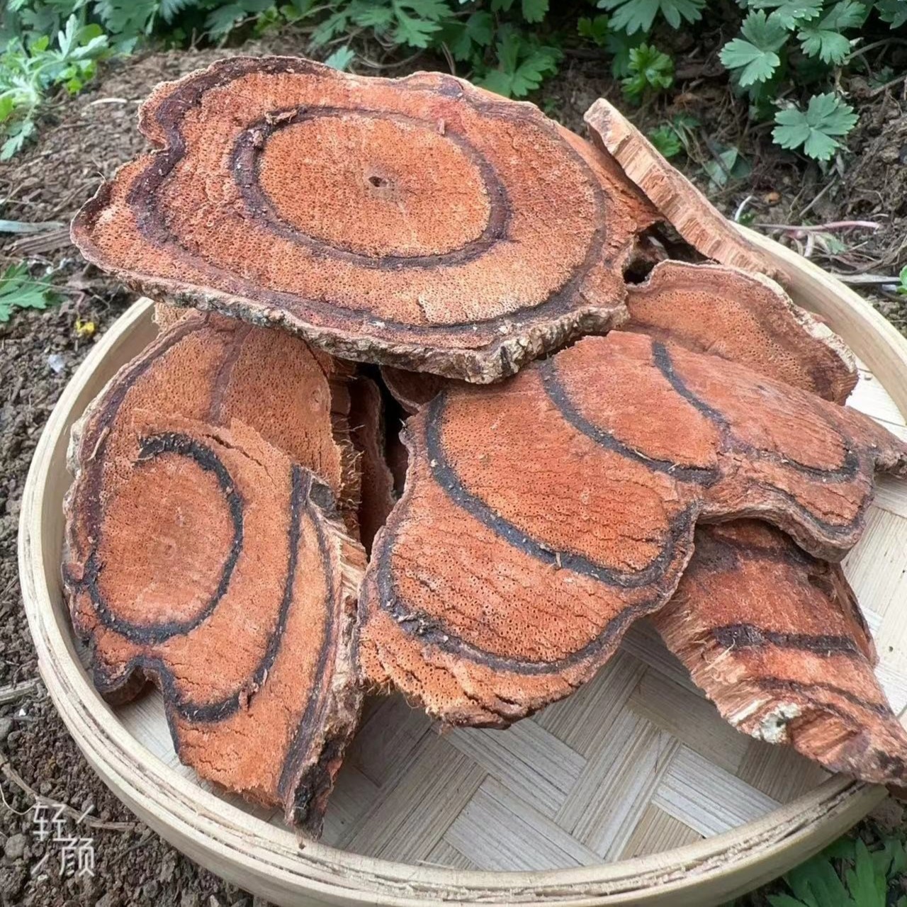 【三哥特产】贵州深山农产品野生鸡血藤500g包邮