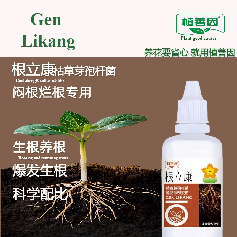 【闷根烂根专用】根立康枯草芽孢杆菌家庭园艺花卉绿植生根通用型