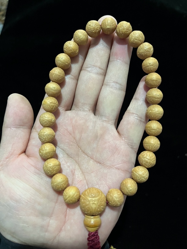 尼泊尔小凤眼手持27颗尺寸11.5