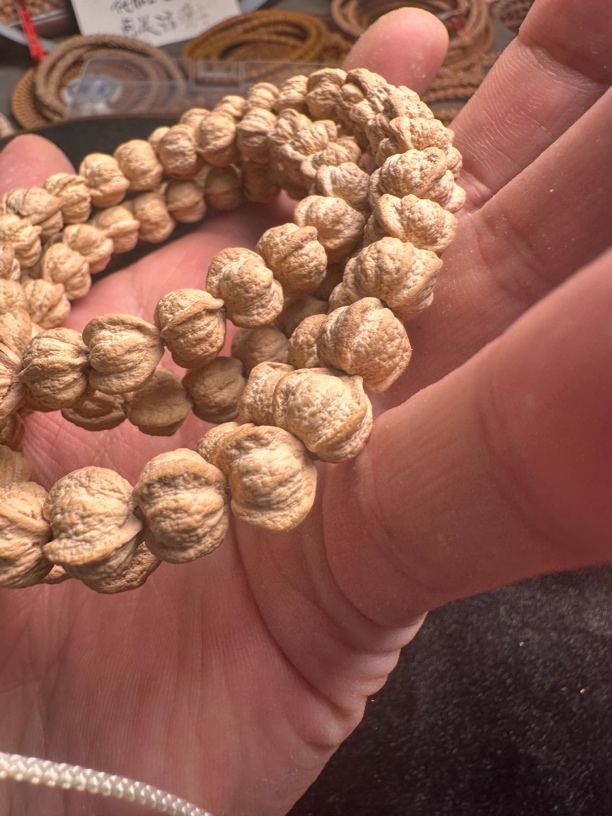 百香籽三棱。百香籽正奔 百香籽原桩