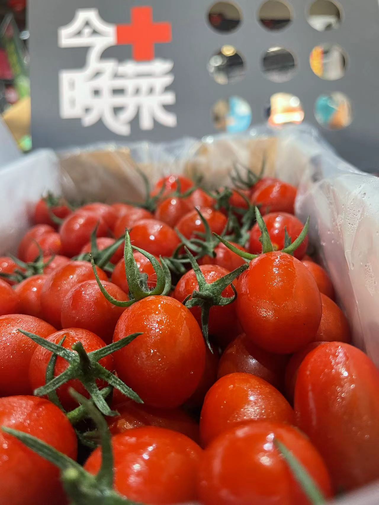当季宁夏玲珑小番茄