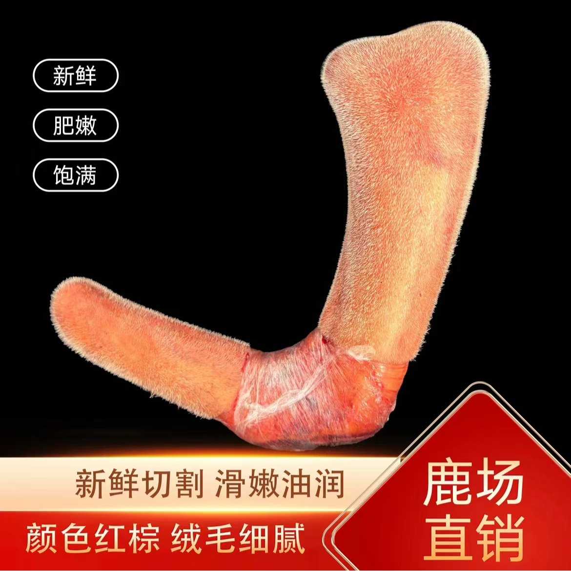 吉林鹿乡特产 新鲜二杠鹿茸 改价链接2