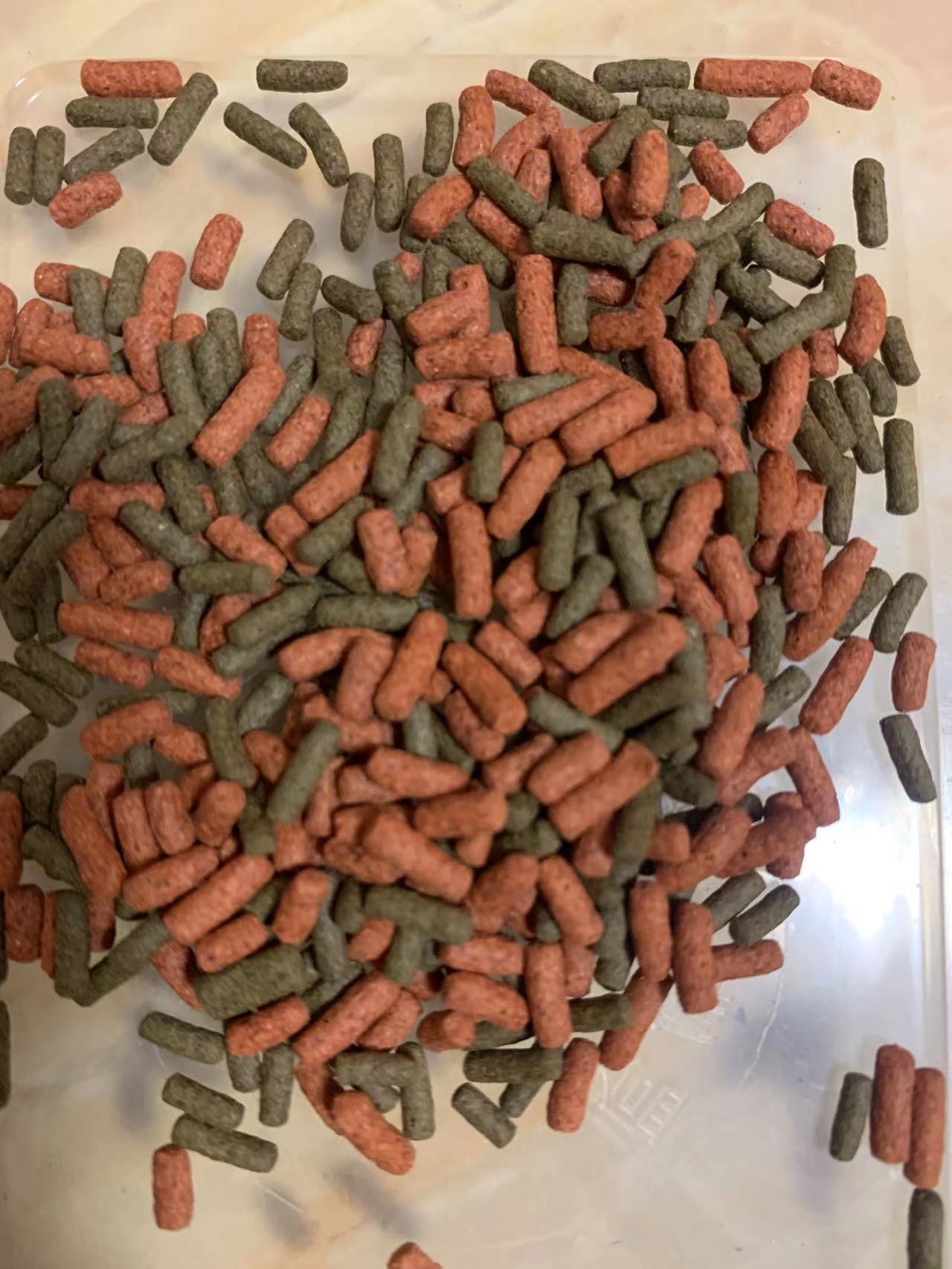 安缘龟龟碌仔龟苗营养发色高蛋白龟粮