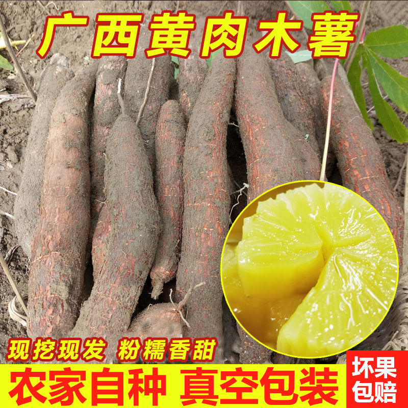 广西特产新鲜黄心木薯粉糯甜板栗蜜薯5斤现挖黄肉面包黄金木薯10