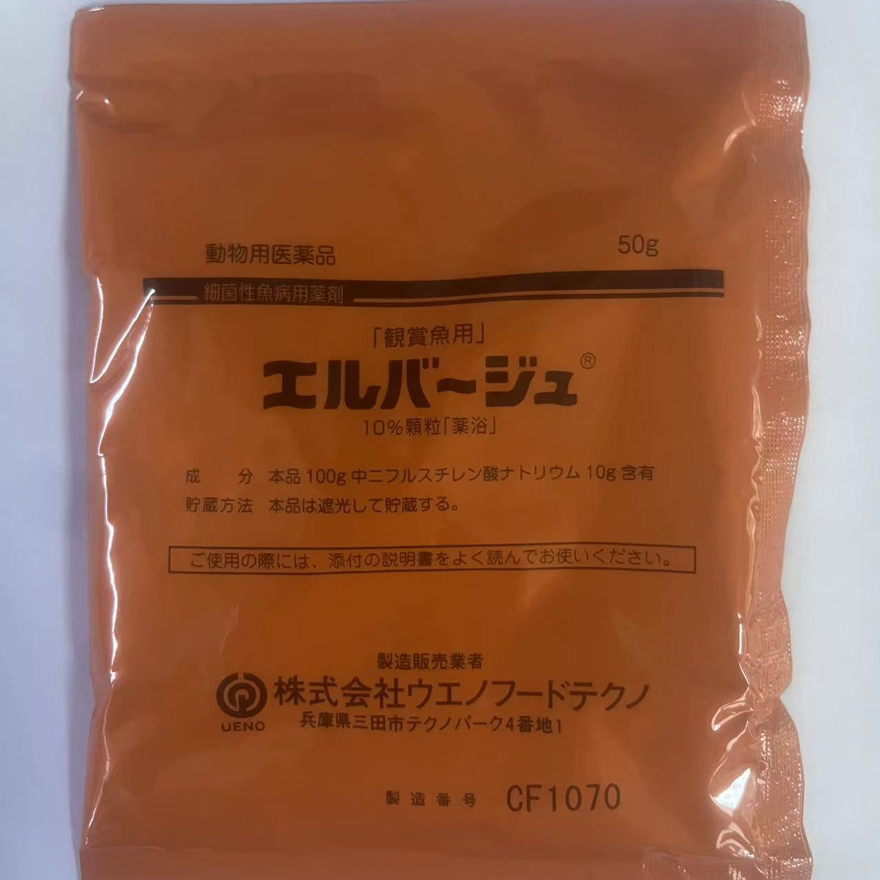 观赏鱼日本进口上野黄粉