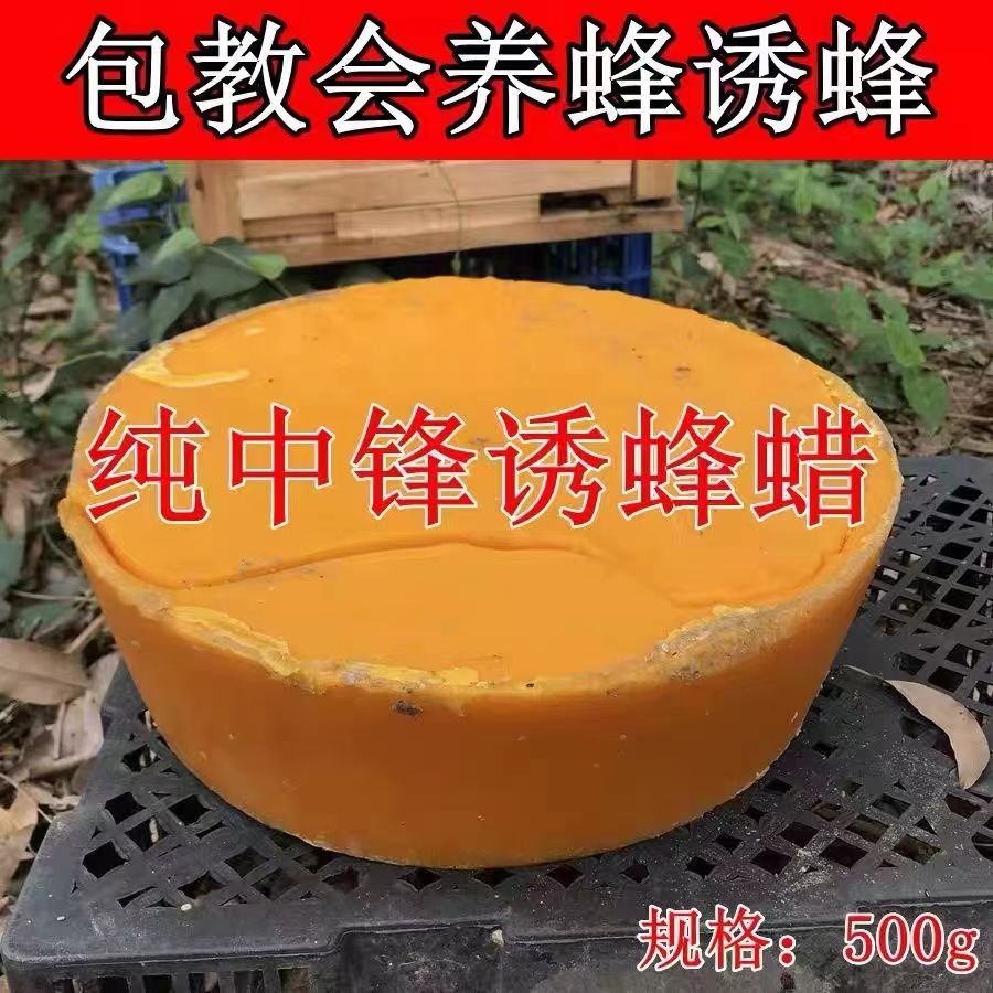 500克正宗中蜂蜡老巢皮蜡诱蜂专用诱蜂蜡养蜂蜂笼天然规格