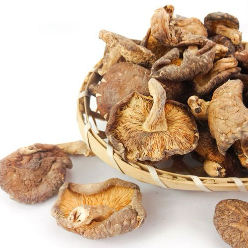 【云农优选】楚雄高山纯野生香菇