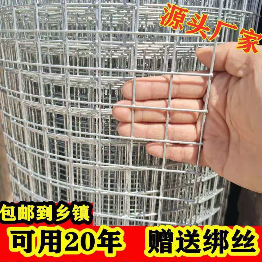热镀锌钢丝网防锈铁丝网围栏网鸡鸭鹅养殖网圈地果园隔离网玉米网