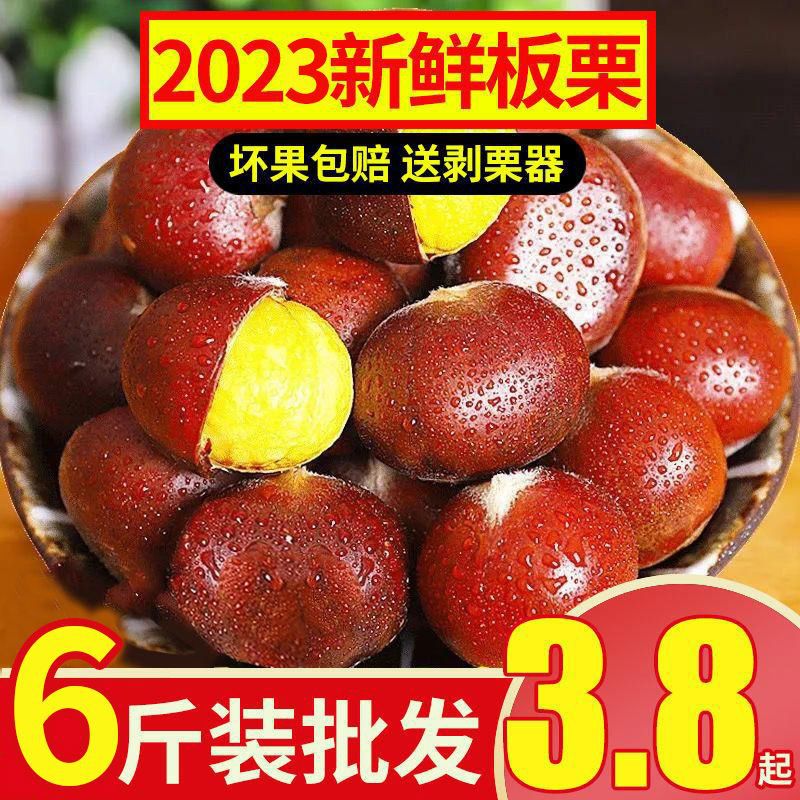【嘉昊】【】现摘丹东板栗生栗子新鲜油栗锥栗子蔬菜半批发