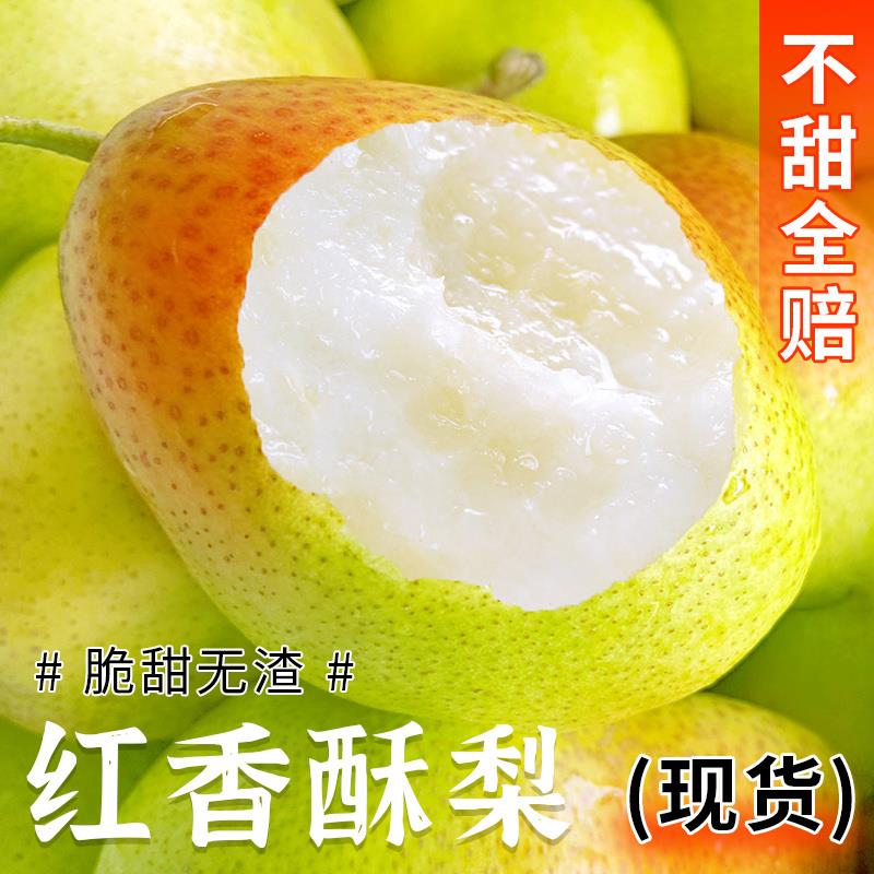【嘉昊】陕西红香酥梨新鲜水果当季整箱香梨青应特产酥梨雪梨包邮