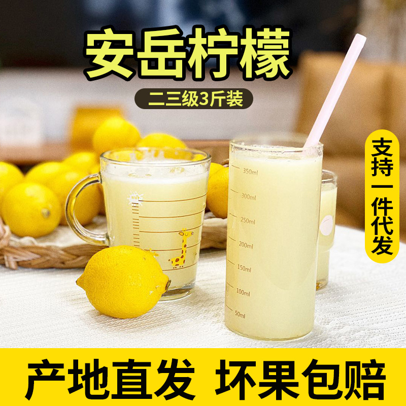 【嘉昊】昆仑伐顽成江安岳柠檬基地直发优力克黄柠檬批发
