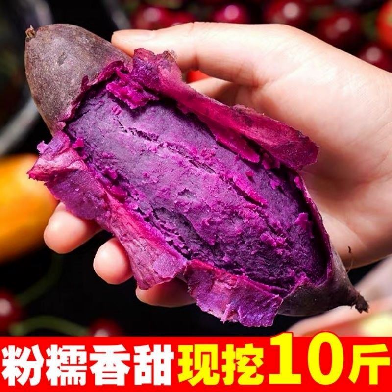【嘉昊】沙地紫薯新鲜紫罗兰红薯蜜薯紫地瓜小个番薯软糯香甜板栗
