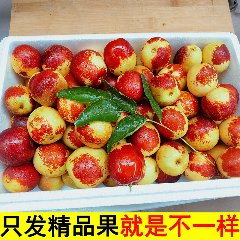 【嘉昊】正宗陕西大荔冬枣枣子新鲜当季水果整箱包邮现摘现发青大