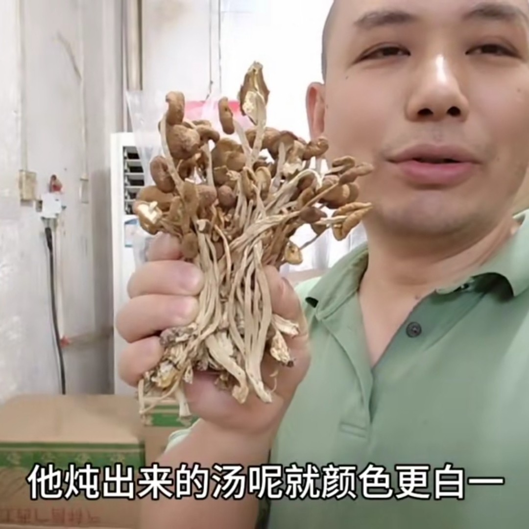 精选茶树菇3号江西广昌特产