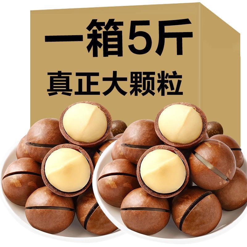 货夏威夷果坚果罐装500g250g9g休闲零食营养精选【送开口器】美味