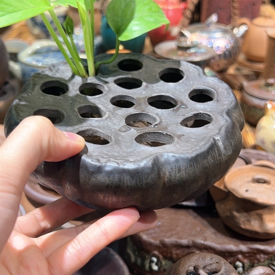 【闪购商品】111111111199999999