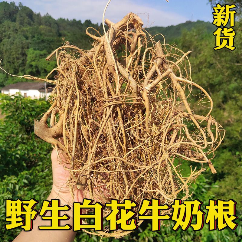 野生白花牛奶根正品白花牛乳树根根茎特产食材干货250克包邮