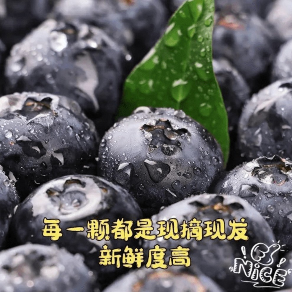 赠蓝莓1盒