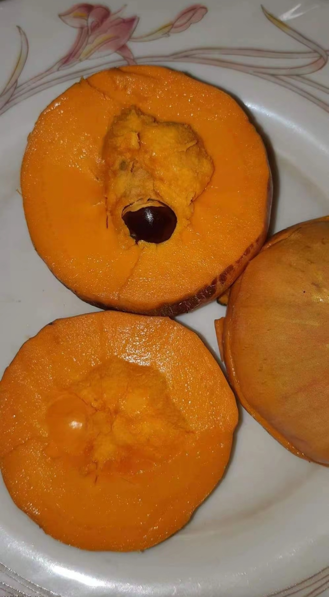 国际版罗斯果小苗