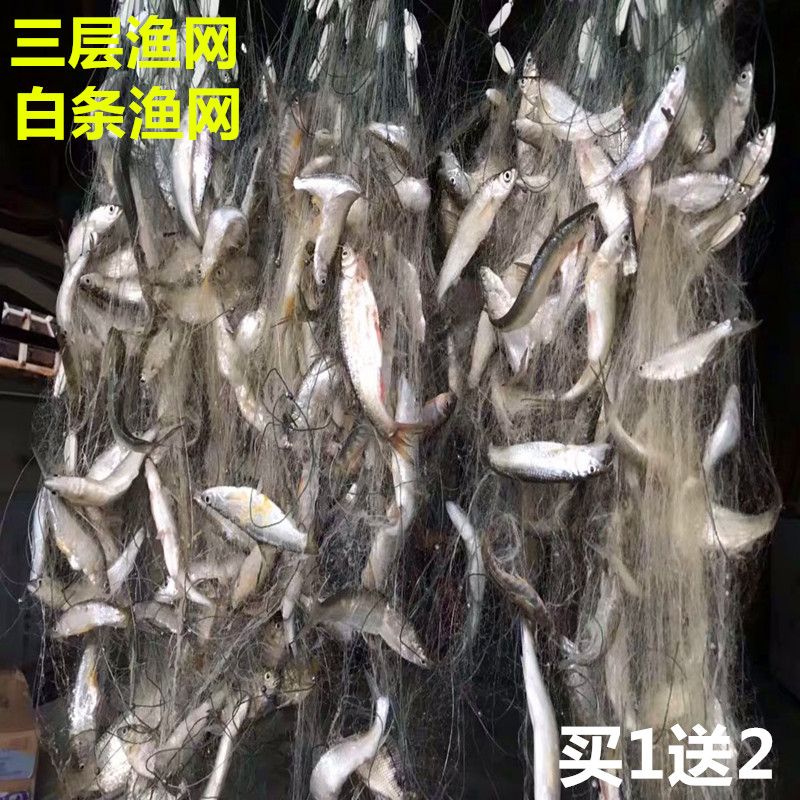 小渔网粘网三层单层白条网马口网浮网沉网50米100米长1指网捕鱼网