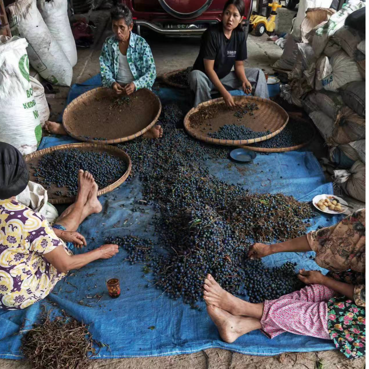 金刚菩提直播间专拍