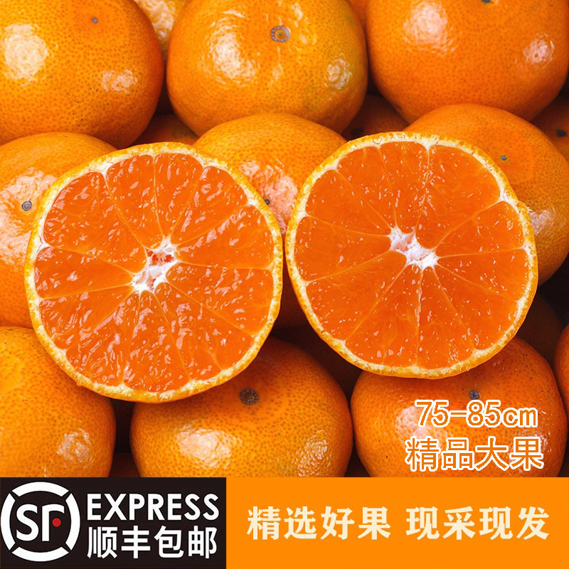 【台州交广专属】现摘浙江涌泉蜜桔宫川新鲜现摘整箱顺丰送货上门
