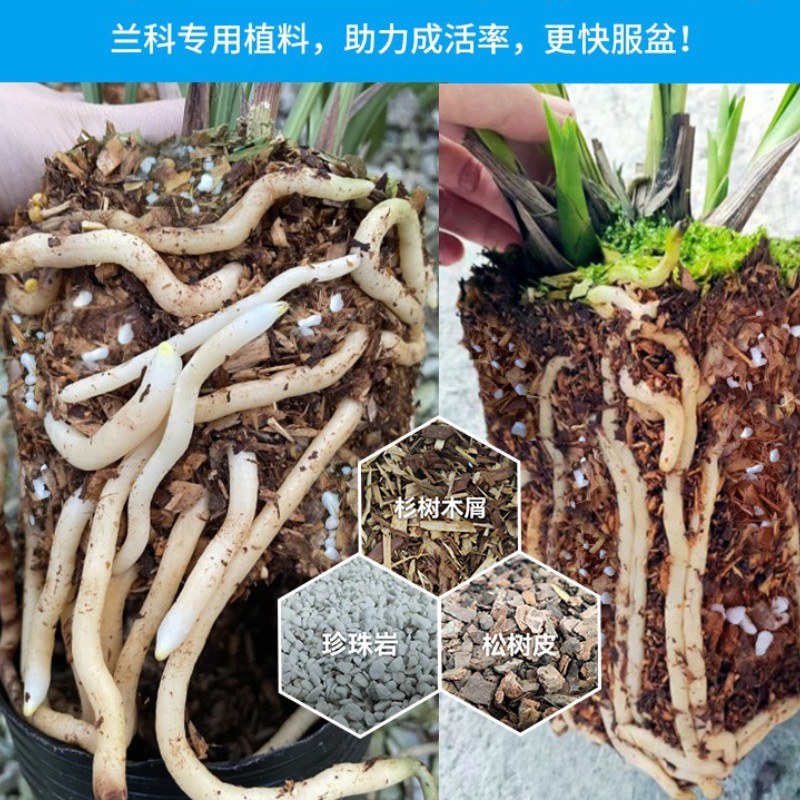 兰花植料花土杉树木屑松树皮珍珠岩三合一疏松沥水花卉通用营养土