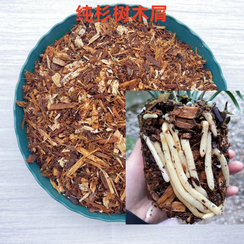 花土兰花植料杉树木屑疏松沥水透气花卉绿植通用营养土