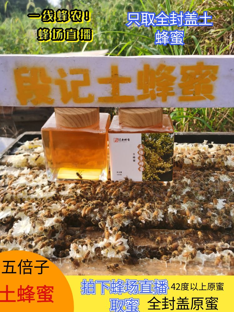 假一罚万（直播取蜜）九月新蜜，五倍子蜂蜜，封盖成熟蜜华蜜蜂土蜂蜜