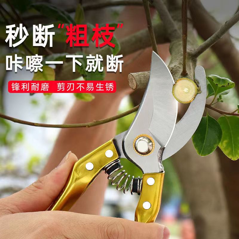 sd666【粉丝福利】果树剪子剪刀家用修剪果树修剪刀修枝剪花艺园艺
