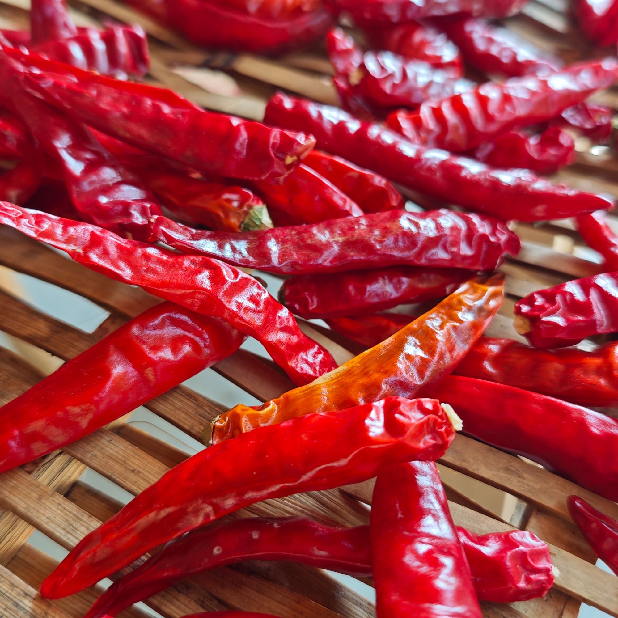 【陈孟助农】城口大巴山自然晾晒干辣椒