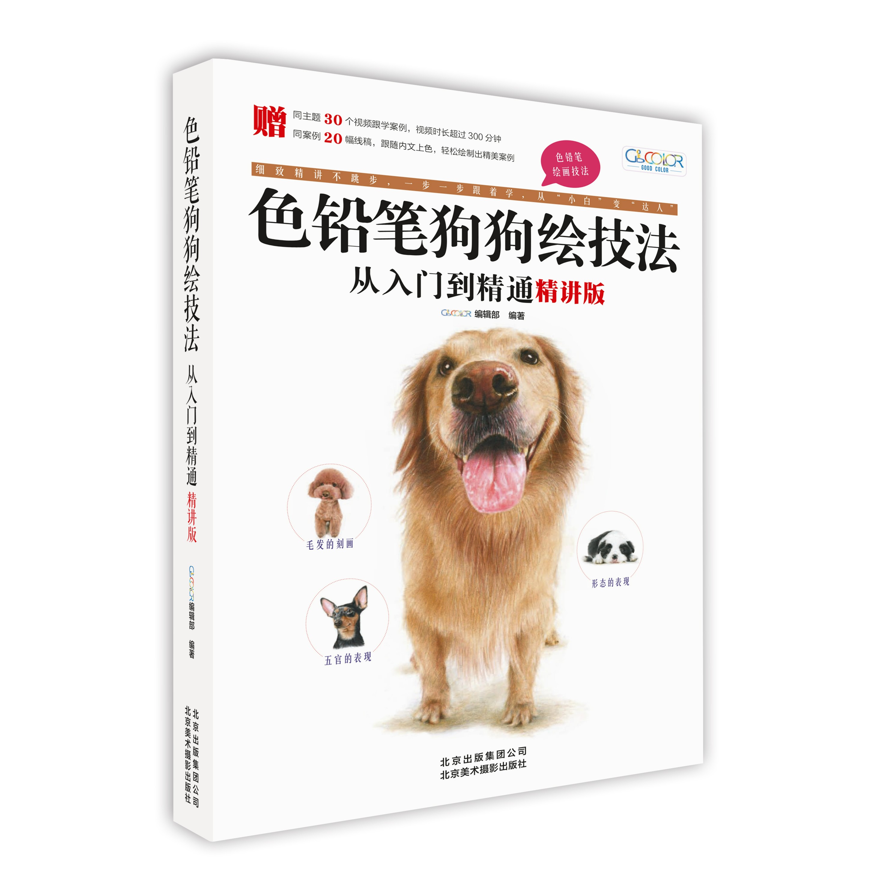 色铅笔狗狗绘技法从入门到精通（精讲版）