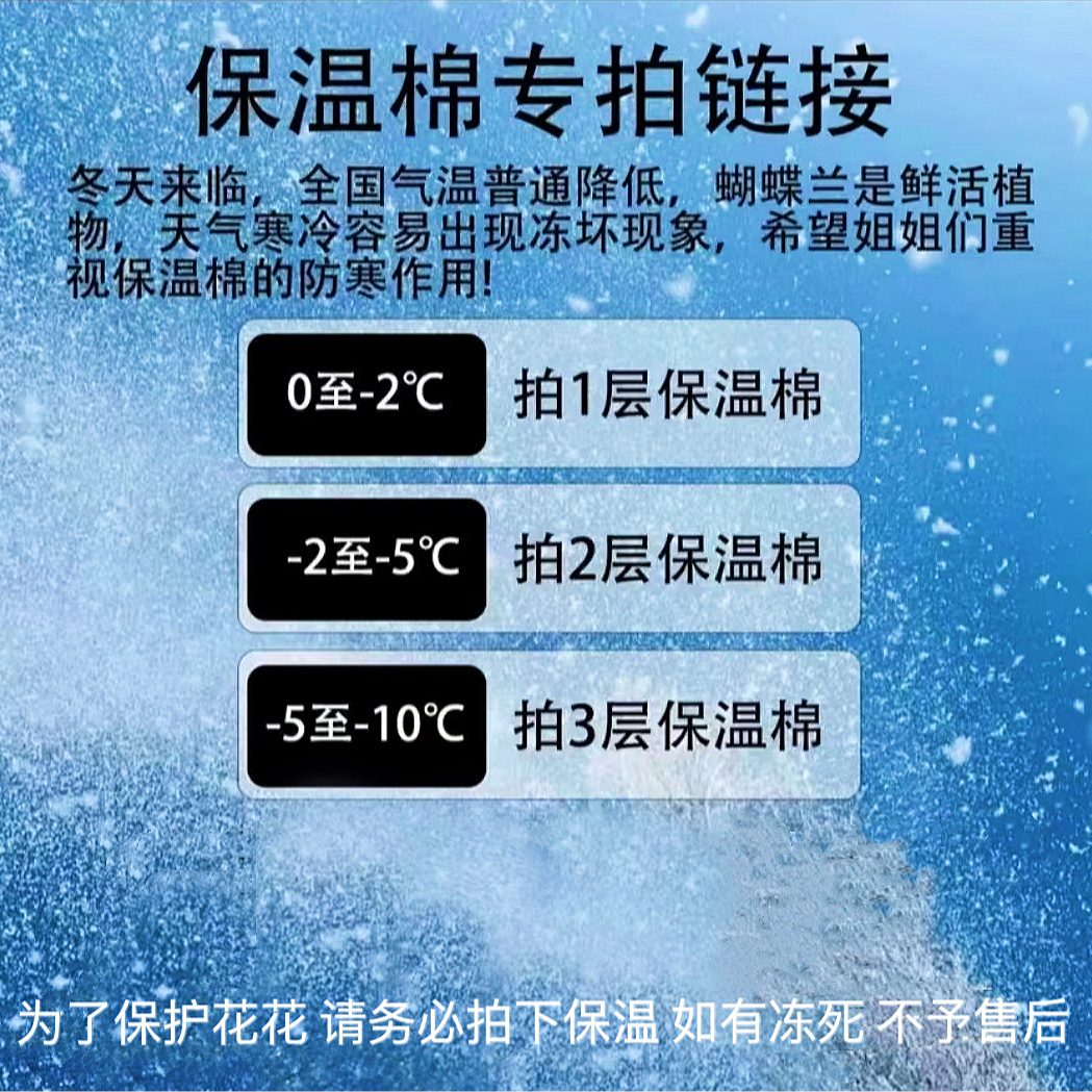 《保温棉》蝴蝶兰发货专用保温材料！！！低于5度拍保温哦~！